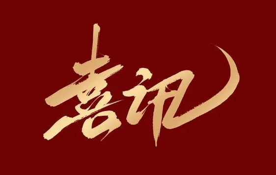 【喜讯】关于金一百中标2024年中国电信股份有限公司湛江分公司光网线路工程施工服务框架采购招标项目